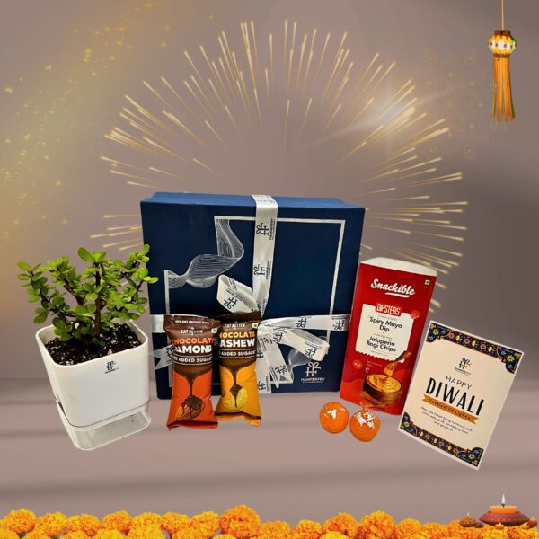 Eco-Friendly Diwali Gift Hamper