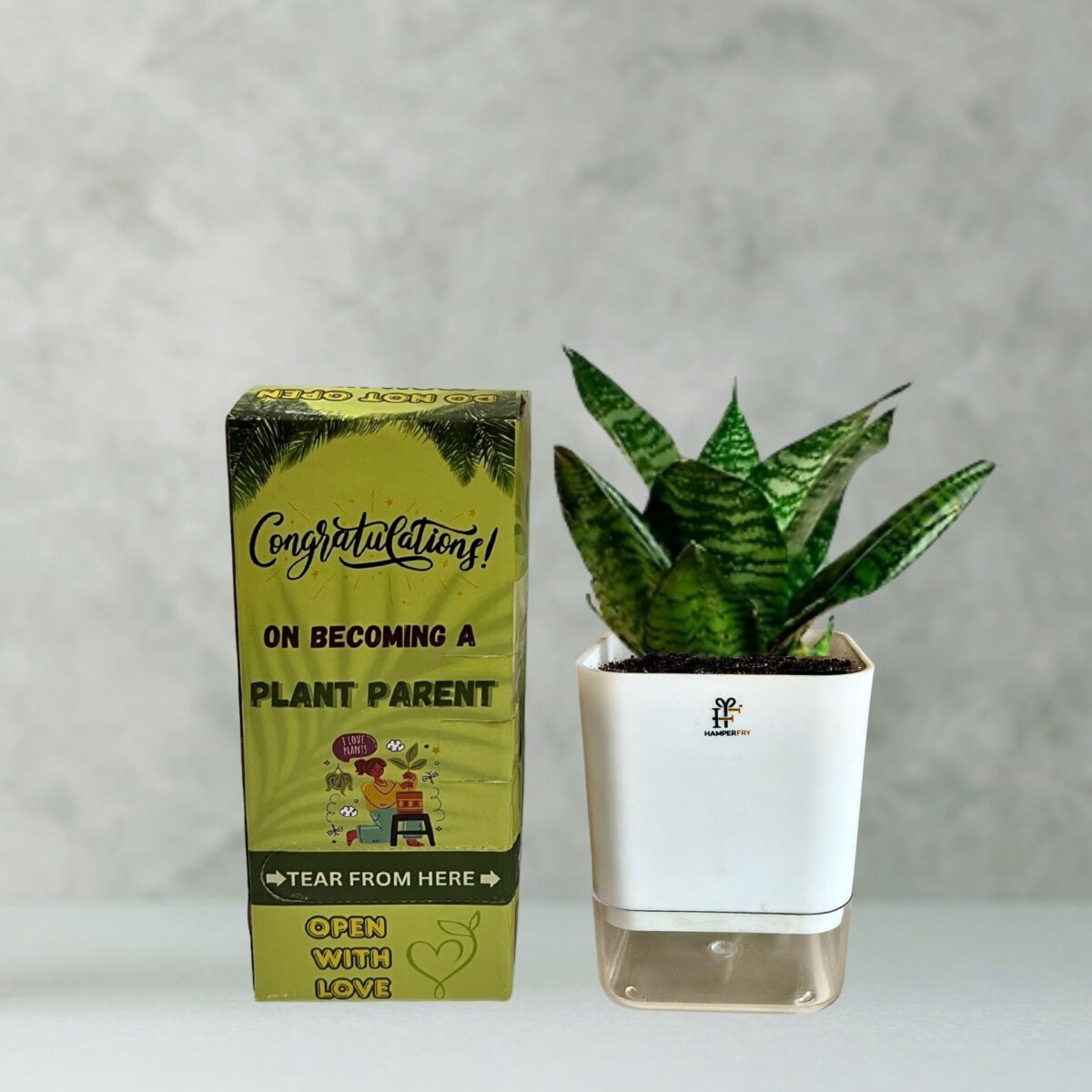 hanging plant in pot JOFAMY 3 Pack Ceramic Hanging Planters for Indoor Plants